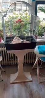 Vogelkooi, Dieren en Toebehoren, Ophalen of Verzenden, Zo goed als nieuw, Vogelkooi