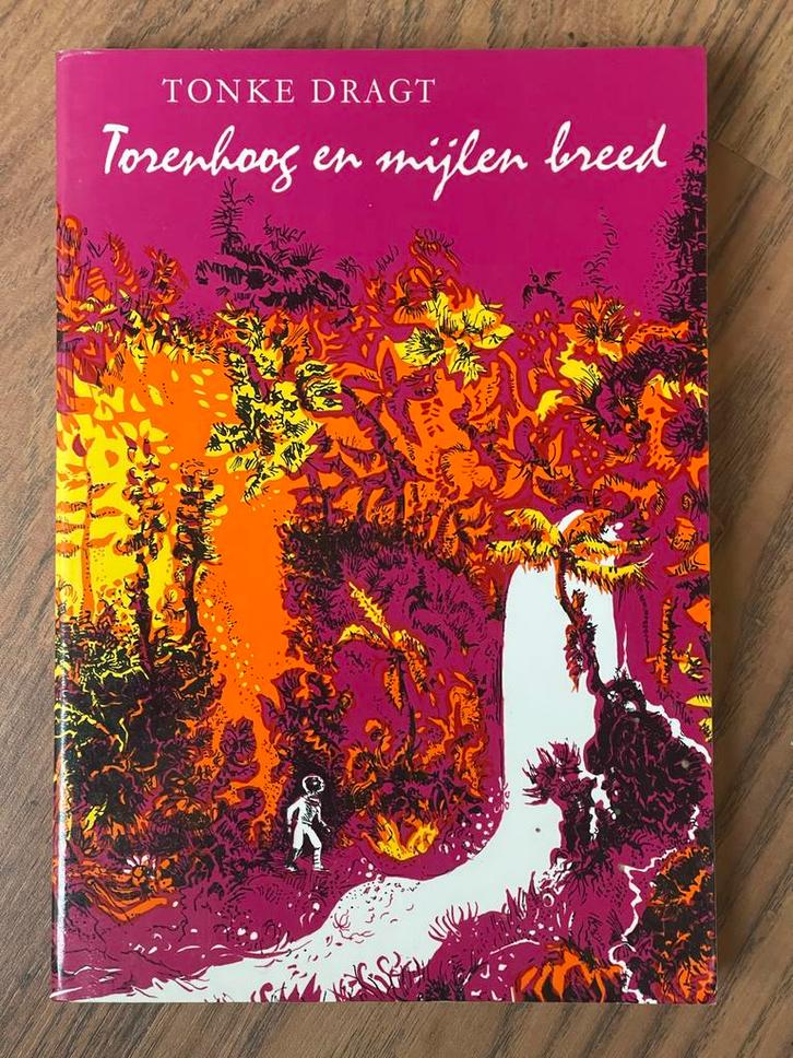 Torenhoog en mijlen breed - Tonke Dragt, Boeken, Kinderboeken | Jeugd | 10 tot 12 jaar, Gelezen, Ophalen of Verzenden
