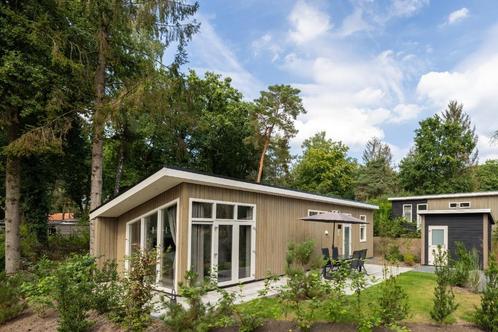 Luxe vakantiewoning op de Veluwe in Hoenderloo, Caravans en Kamperen, Stacaravans, tot en met 4, Ophalen