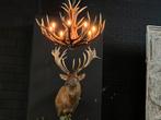 Edelhert hert hertenkop opgezet opgezette taxidermie veluwe, Verzamelen, Dierenverzamelingen, Ophalen, Nieuw, Hert, Opgezet dier
