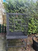 Stevige papagaaien kooi / vogelkooi, agapornis kooi, Ophalen, Kooi, Gebruikt, 90 cm of meer