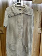 Vest met Trui, Kleding | Dames, Truien en Vesten, Maat 46/48 (XL) of groter, Ophalen of Verzenden, Zo goed als nieuw, Grijs