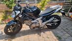 Suzuki Gladius 2010, Particulier