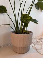 Stijlvolle plantenpot voor binnen/buiten, Tuin en Terras, Bloempotten, Rond, Binnen, Zo goed als nieuw, Minder dan 40 cm