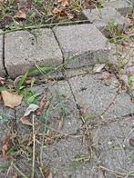Gekleurde klinkers/ stenen/ tegels, Gebruikt, Klinkers, Ophalen of Verzenden, 10 m² of meer
