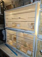 Kweekkooi in Prijs verlaagd, Dieren en Toebehoren, Ophalen, Gebruikt, Hout, Broedkooi of Kweekkooi