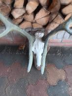 Gewei., Antiek en Kunst, Ophalen