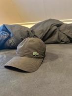 Lacoste pet, Lacoste, One size fits all, Ophalen of Verzenden, Pet