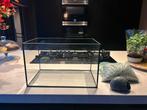 Vissenkom, Dieren en Toebehoren, Vissen | Aquaria en Toebehoren, Ophalen, Leeg aquarium