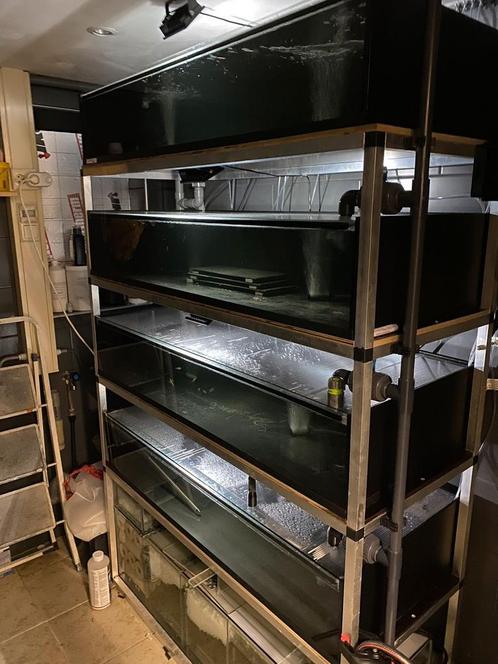Kweekstelling, Dieren en Toebehoren, Vissen | Aquaria en Toebehoren, Zo goed als nieuw, Leeg aquarium, Ophalen