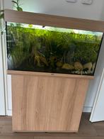 Aquarium JEWEL Rio 125l incl kast en vissen, Ophalen, Zo goed als nieuw, Gevuld zoetwateraquarium