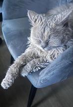 Opzoek naar een nieuw huisje!, 0 tot 2 jaar