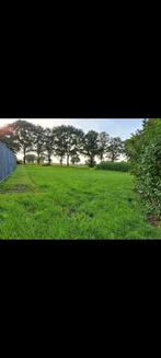 Weiland/grasland te huur, Dieren en Toebehoren, Stalling en Weidegang