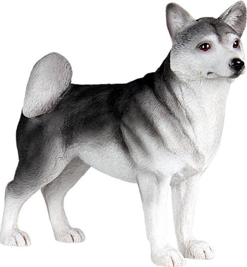 Husky hondenbeeldje - My Best Friend collectie beeld 900830, Verzamelen, Beelden en Beeldjes, Nieuw, Dier, Ophalen of Verzenden