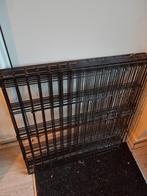 Mooie ren, Dieren en Toebehoren, Ophalen, 110 cm of meer, 100 cm of meer