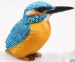IJSVOGELTJE - THE BEAUTY....(M)
