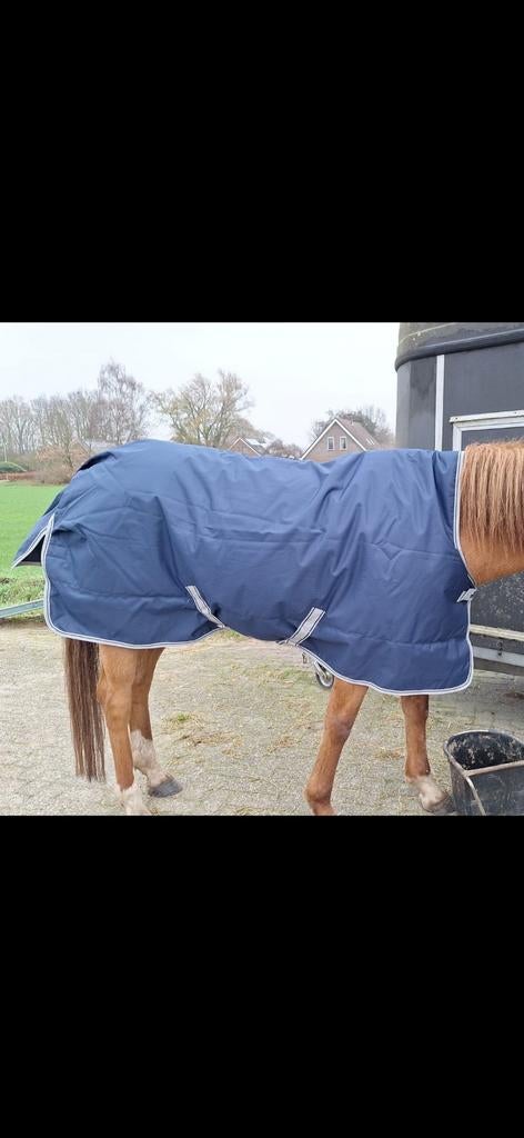 Waterdichte bucas deken, Dieren en Toebehoren, Paarden en Pony's | Dekens en Dekjes, Ophalen, Nieuw