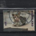 ‹(•¿•)› nl # j0208 dierportret poes, Verzenden, Na 1940, Gestempeld