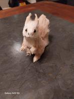 Eekhoorn  opgezet  taxidermy, Verzamelen, Ophalen of Verzenden, Gebruikt, Opgezet dier