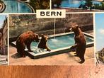 Beren in de dierentuin van Bern, Zwitserland - 1968, Ophalen of Verzenden, 1960 tot 1980, Ongelopen, Overig Europa