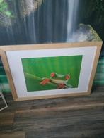 Poster in lijst, Ophalen, Minder dan 50 cm