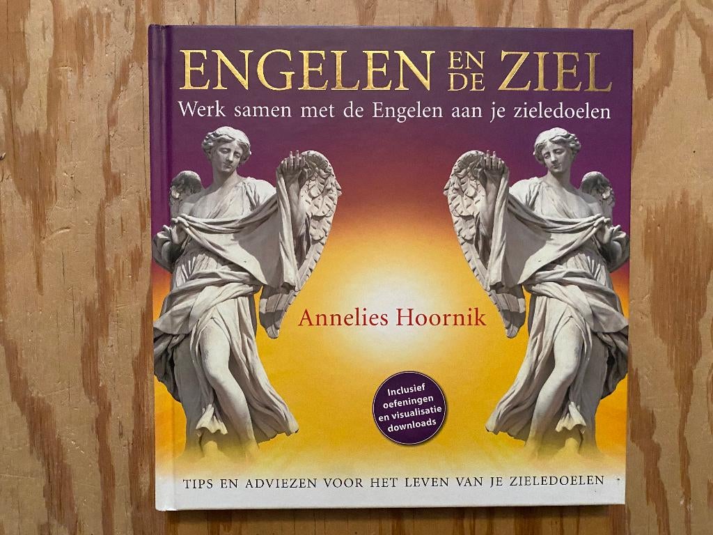 Engelen en de ziel Annelies Hoornik boek spiritueel, Ophalen of Verzenden, Zo goed als nieuw, Annelies Hoornik, Achtergrond en Informatie