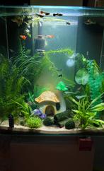 Fluval Edge 46 liter aquarium wit in mooie staat!, Dieren en Toebehoren, Vissen | Aquaria en Toebehoren, Ophalen, Zo goed als nieuw