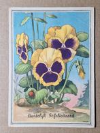 Viooltjes, geel paars - Hartelijk Gefeliciteerd - Ger Dorant, Ophalen of Verzenden, 1940 tot 1960, Ongelopen, Feest(dag)