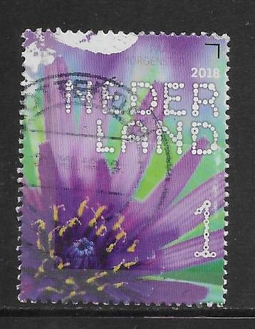 2018, Veldbloemen, Paarse Morgenster [3639] (K1102) beschikbaar voor biedingen