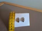 Zilverkleurige drops (druppelvormige) oorbellen., Verzenden, Zo goed als nieuw, Zilver, Overige materialen