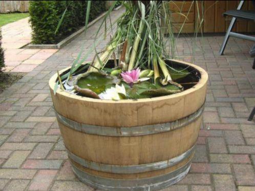 Bloembak half wijnvat whiskyvat palmboom vijgenboom hout, Tuin en Terras, Bloembakken en Plantenbakken, Nieuw, Hout, Binnen, Balkon