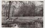 Velzen, uitzicht van Rest. Velzerbeek, NH9 - 43, Ophalen of Verzenden, 1940 tot 1960, Ongelopen, Noord-Holland