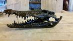 Brons / SCHEDEL van een KROKODIL / nieuw!!, Dierenbeeld, Nieuw, Info@huisentuindecoratiemarie.nl, Huis en tuin decoratie marie