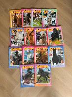 Penny's en paardentijdschriften, Ophalen of Verzenden, Gelezen, Overige typen