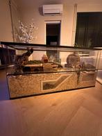 MEGA STARTERSPAKKET HAMSTER, Dieren en Toebehoren, Ophalen, Zo goed als nieuw, Overige typen