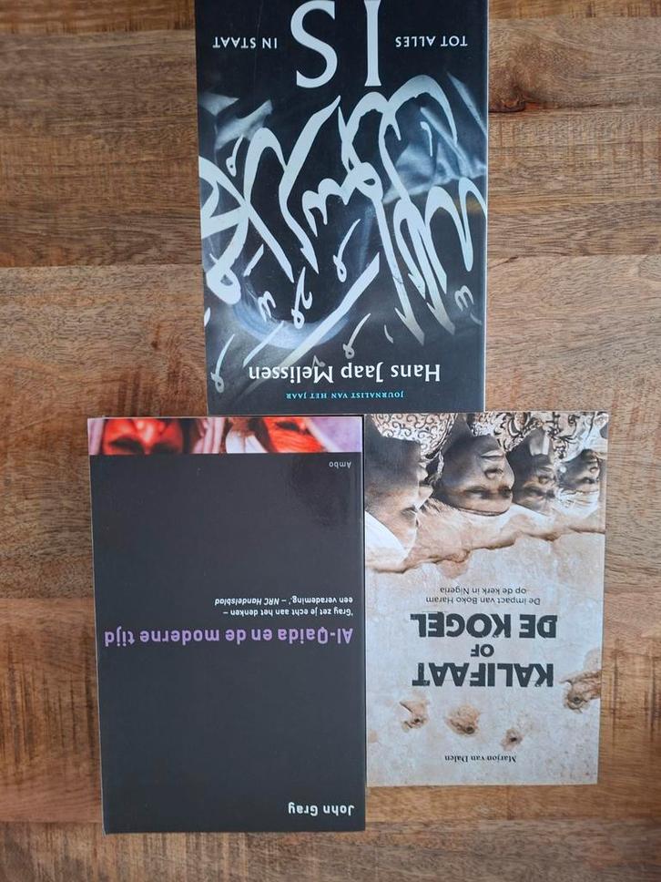 3 Boeken over Politiek en Maatschappij, Boeken, Politiek en Maatschappij, Gelezen, Politiek en Staatkunde, Wereld, Ophalen of Verzenden