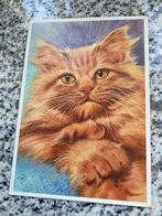 Diversen Poezen ansichtkaarten..., Verzamelen, Ansichtkaarten | Dieren, Ophalen of Verzenden, Ongelopen, Hond of Kat