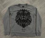 Stoere originele My Brand Trui maat 170 - 176!, Verzenden, My Brand, Jongen, Trui of Vest