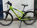 Rock Rider Crossfiets - Geel - Maat 24, Fietsen en Brommers, Fietsen | Mountainbikes en ATB, Gebruikt, Hardtail, Heren, Ophalen of Verzenden