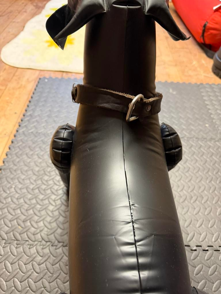 Halsband, Dieren en Toebehoren, Ophalen of Verzenden, Zo goed als nieuw