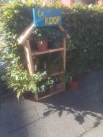 Tuinplanten te koop, Volle zon, Vaste plant, Zomer, Ophalen