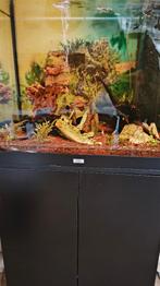 Aquarium: JUWEL-Lido-200 + OnderKast: 190 !! E., Dieren en Toebehoren, Vissen | Aquaria en Toebehoren, Ophalen, Gebruikt, Gevuld zoetwateraquarium
