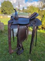 Voormalig demo Edix zadel, Ophalen of Verzenden, Zo goed als nieuw, Dressuur