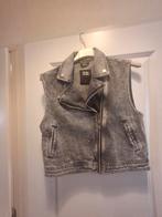 Nieuwe vest - Maat S, Seven Sisters, Ophalen of Verzenden, Nieuw, Maat 36 (S)