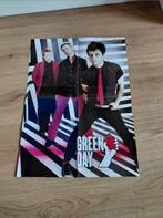 Green Day American Idiot poster, Ophalen of Verzenden, Zo goed als nieuw, Poster, Artwork of Schilderij