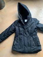 Hollister winterjas maat M (valt klein), Zwart, Nieuw, Ophalen of Verzenden, Maat 36 (S)