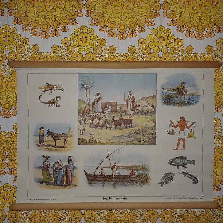 Linnen schoolplaat Zee, bron en water, Antiek en Kunst, Antiek | Schoolplaten, Natuur en Biologie, Ophalen of Verzenden
