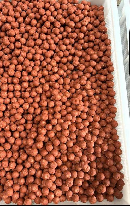 Voerboilies, Watersport en Boten, Hengelsport | Karpervissen, Nieuw, Overige typen, Ophalen of Verzenden