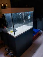 Trofis Colisa Aquarium A-800+ LED 2020.Perfecte starters set, Dieren en Toebehoren, Nieuw, Ophalen, Gevuld zoetwateraquarium