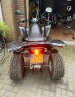 Kymco quad maxxer, Motoren